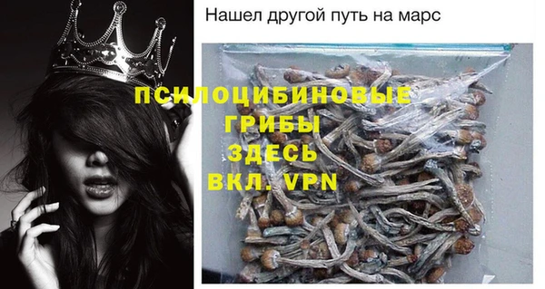 бошки Алзамай