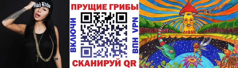 Галлюциногенные грибы MAGIC MUSHROOMS  МЕГА маркетплейс  Гдов 